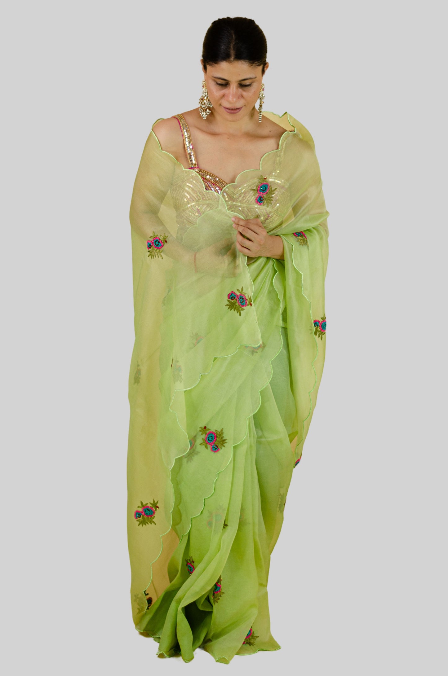 Zardosi and Beads Hand Embroidered Handloom Organza Silk Saree