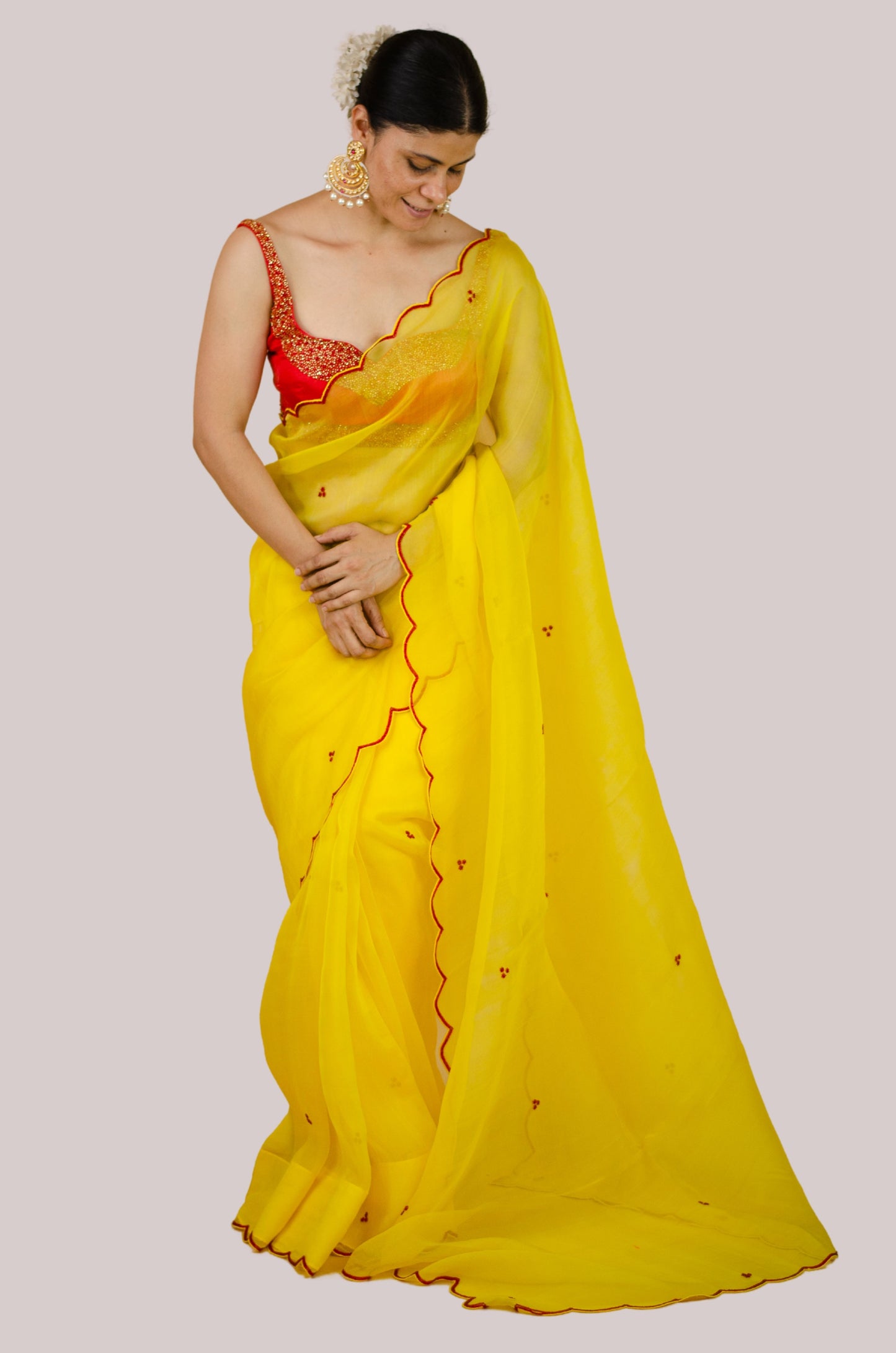 Beads Hand Embroidered Handloom Organza Silk Saree.