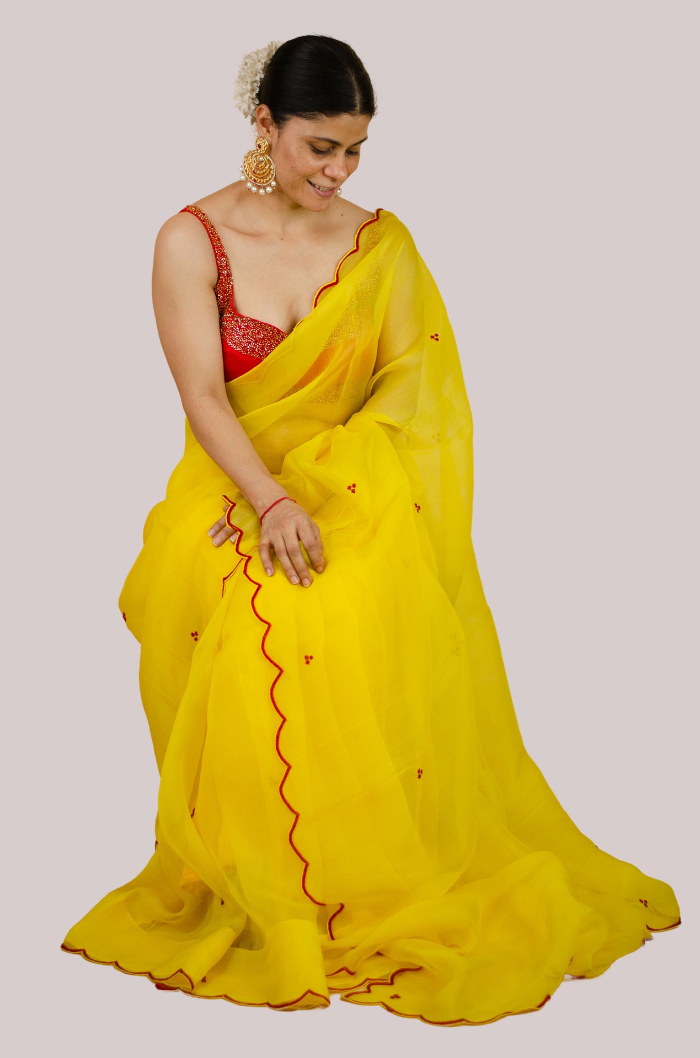 Beads Hand Embroidered Handloom Organza Silk Saree.