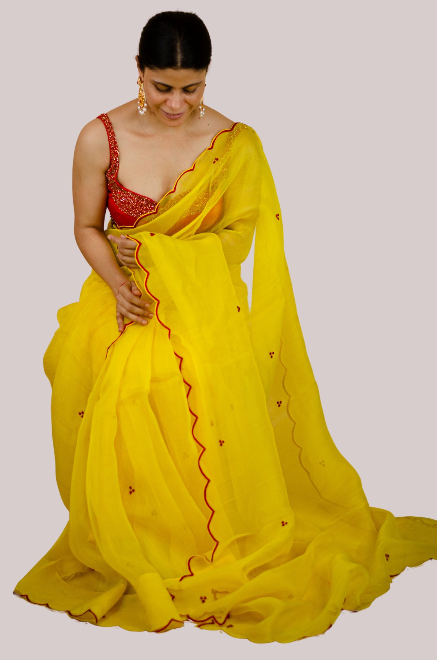 Beads Hand Embroidered Handloom Organza Silk Saree.