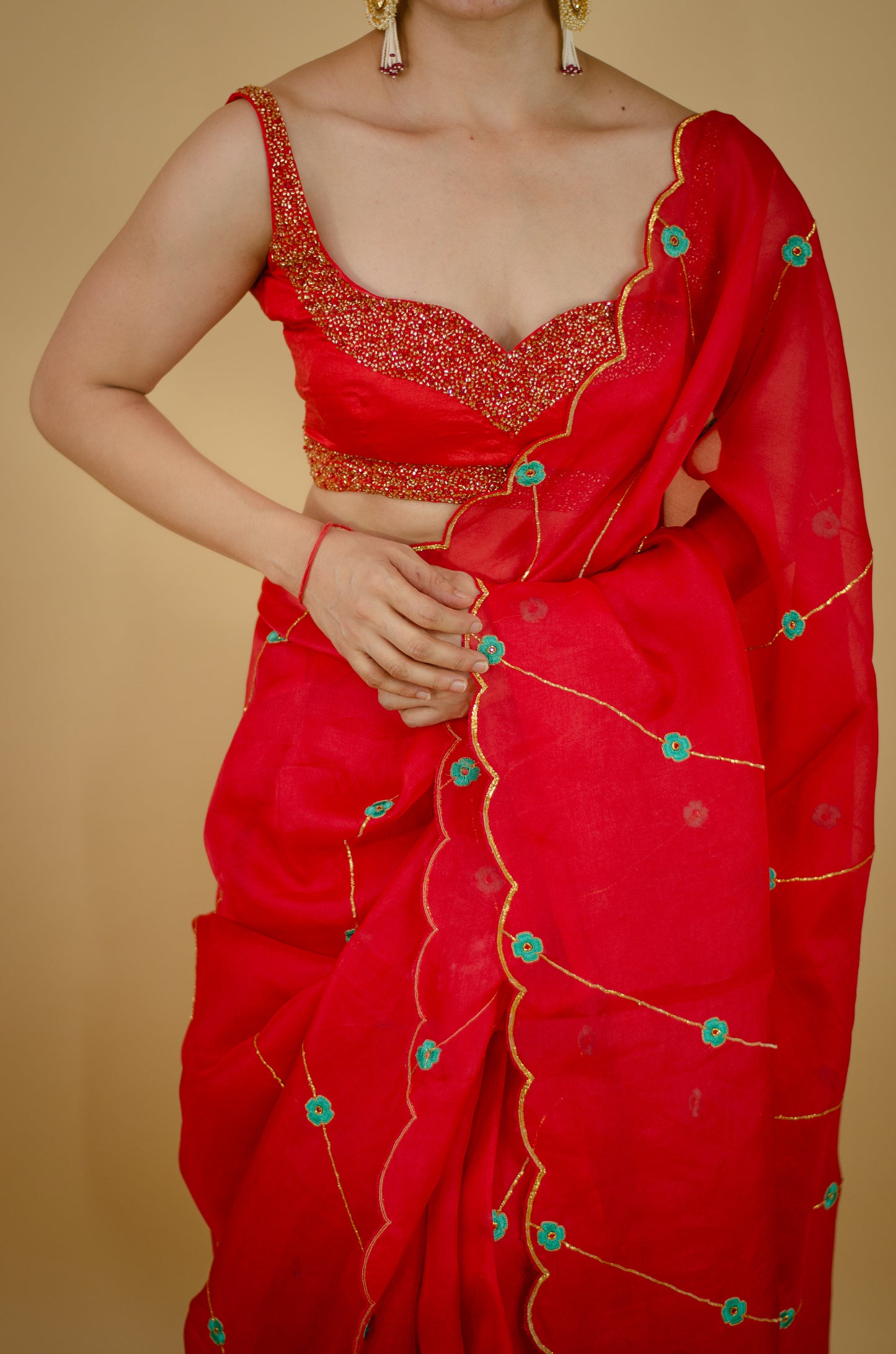 Sequence & Resham thread Hand Embroidered Handloom Organza Silk Saree.