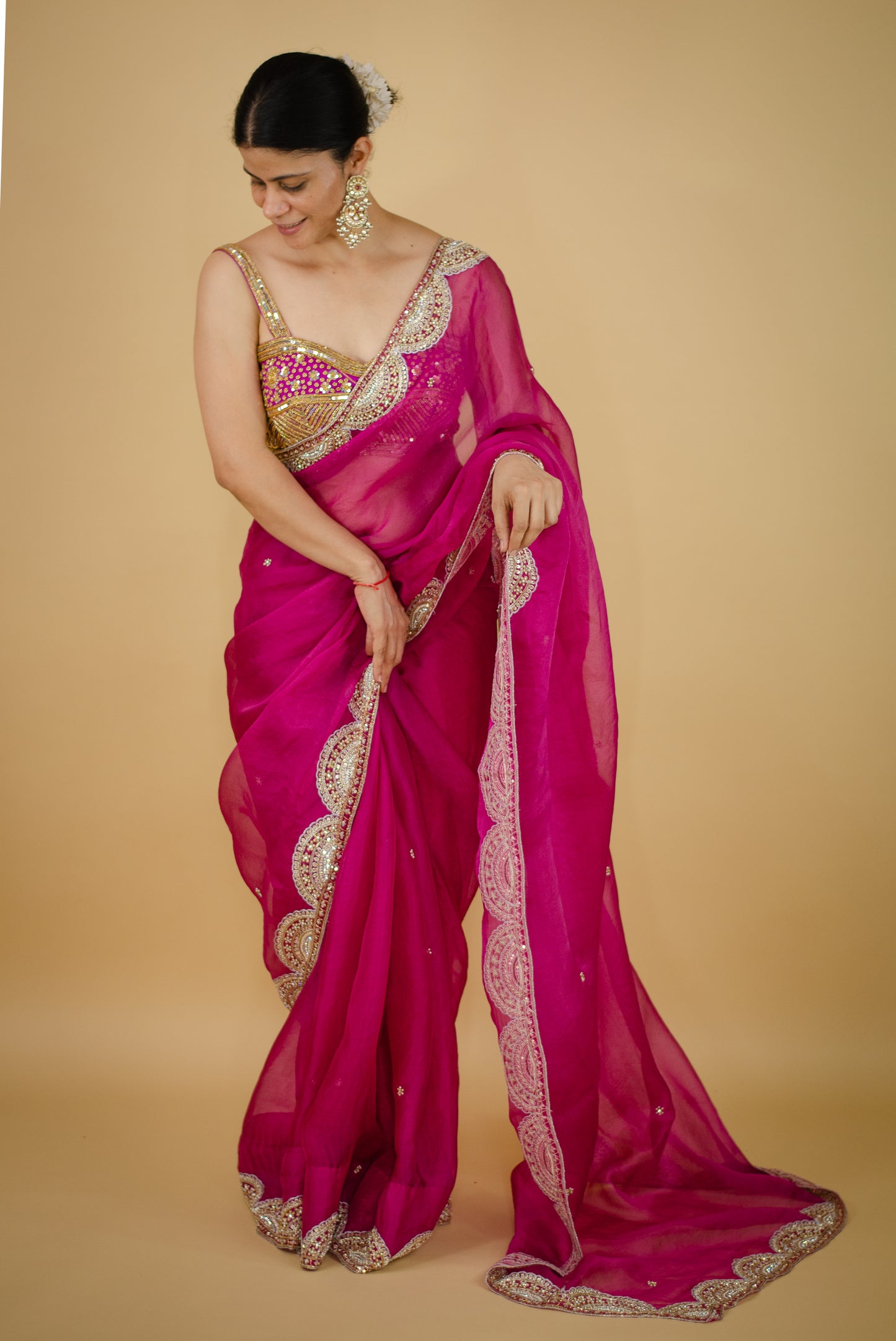 Zardosi and Sequence and Beads Hand Embroidered Handloom Organza Silk Saree