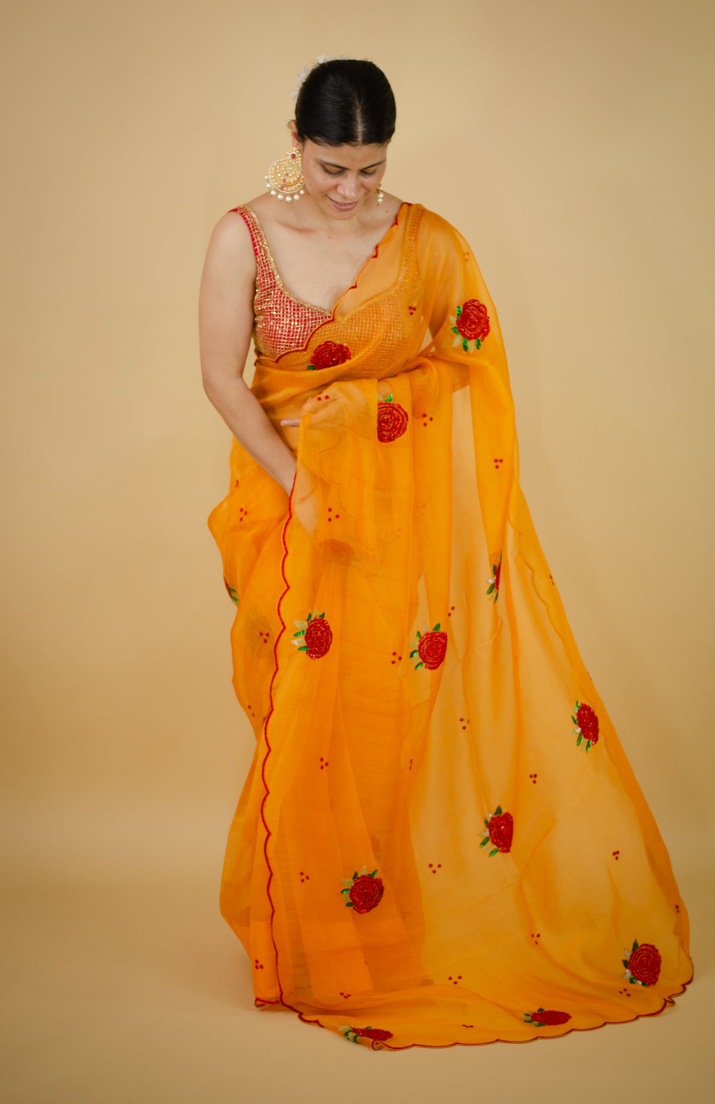 Zardosi and Sequence and Beads Hand Embroidered Handloom Organza Silk Saree