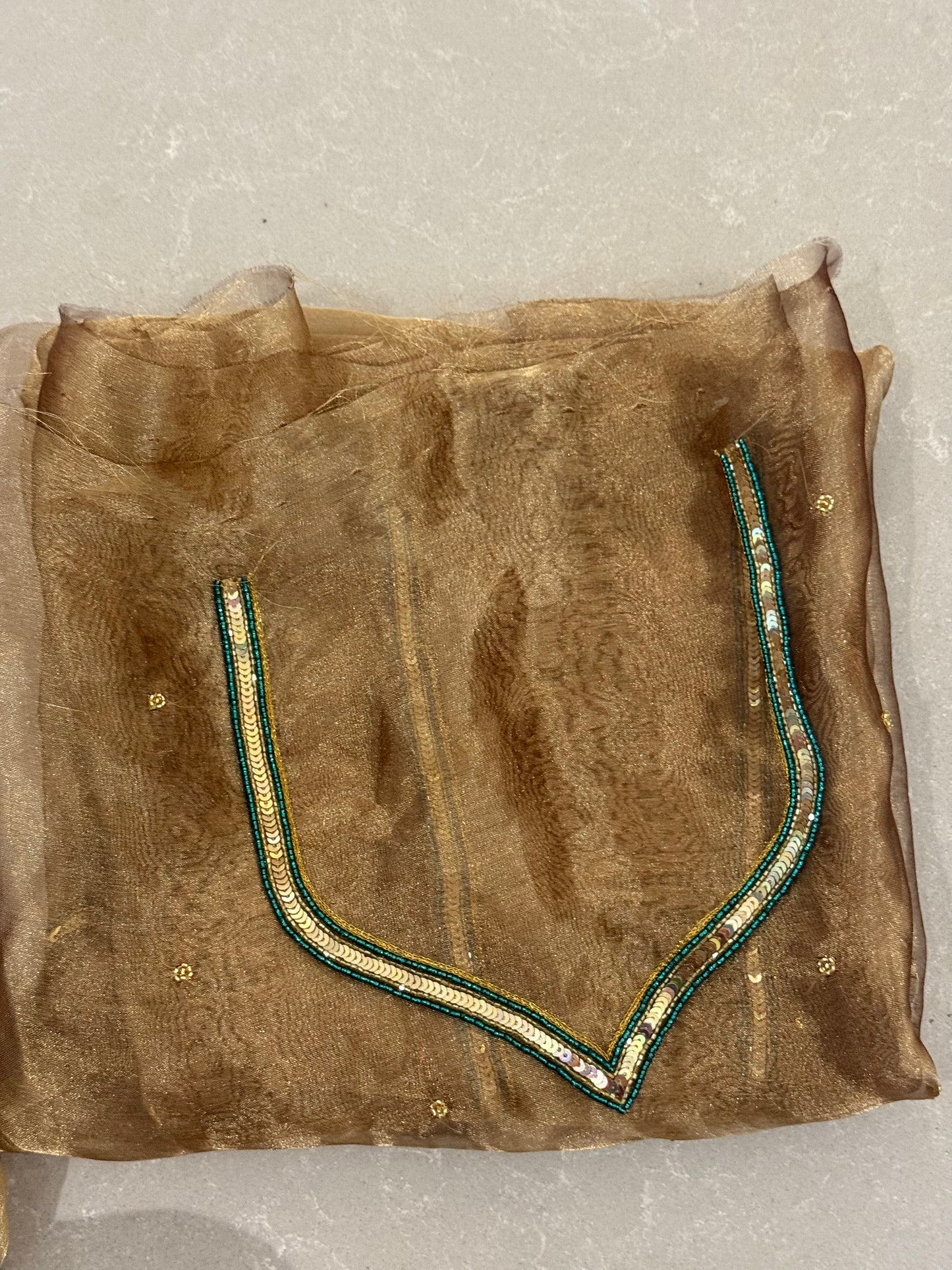 Zardozi & Beads Hand Embroidered Handloom Tissue Silk Saree.
