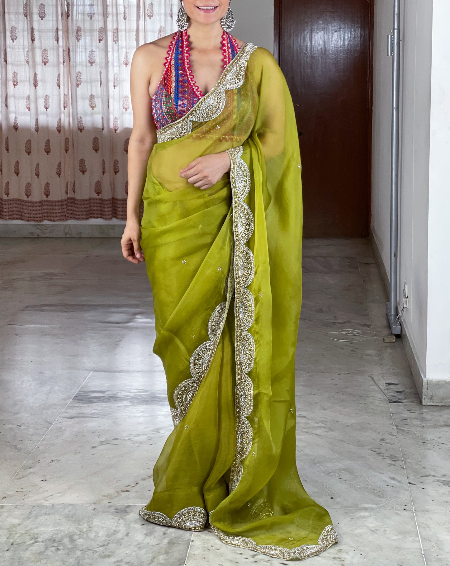 Zardosi and Sequence and Beads Hand Embroidered Handloom Organza Silk Saree