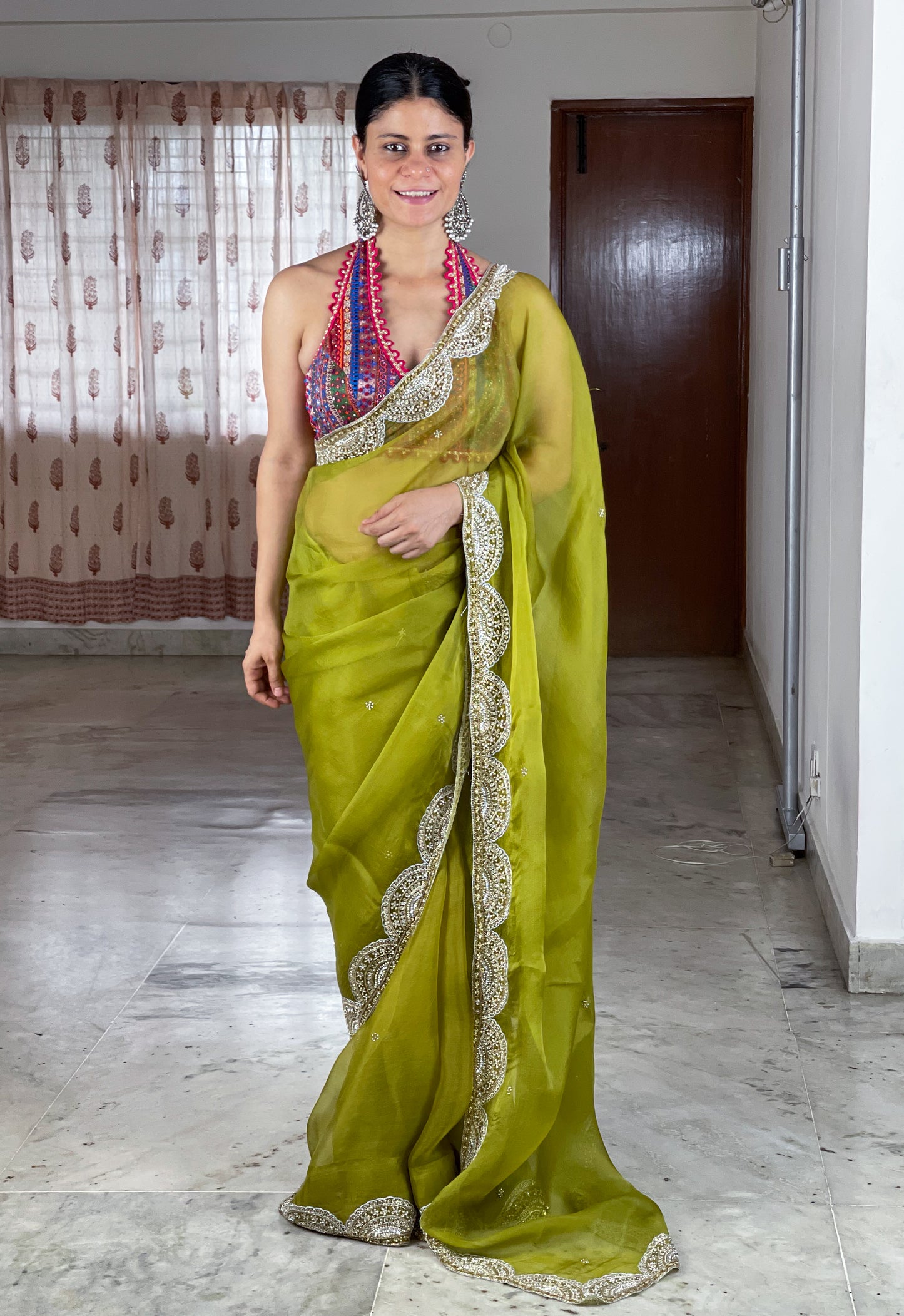Zardosi and Sequence and Beads Hand Embroidered Handloom Organza Silk Saree