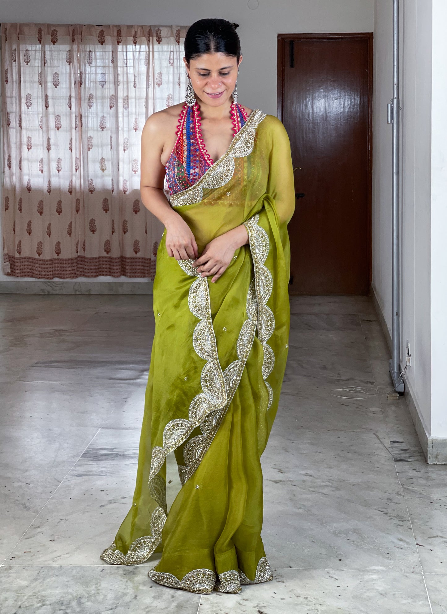 Zardosi and Sequence and Beads Hand Embroidered Handloom Organza Silk Saree