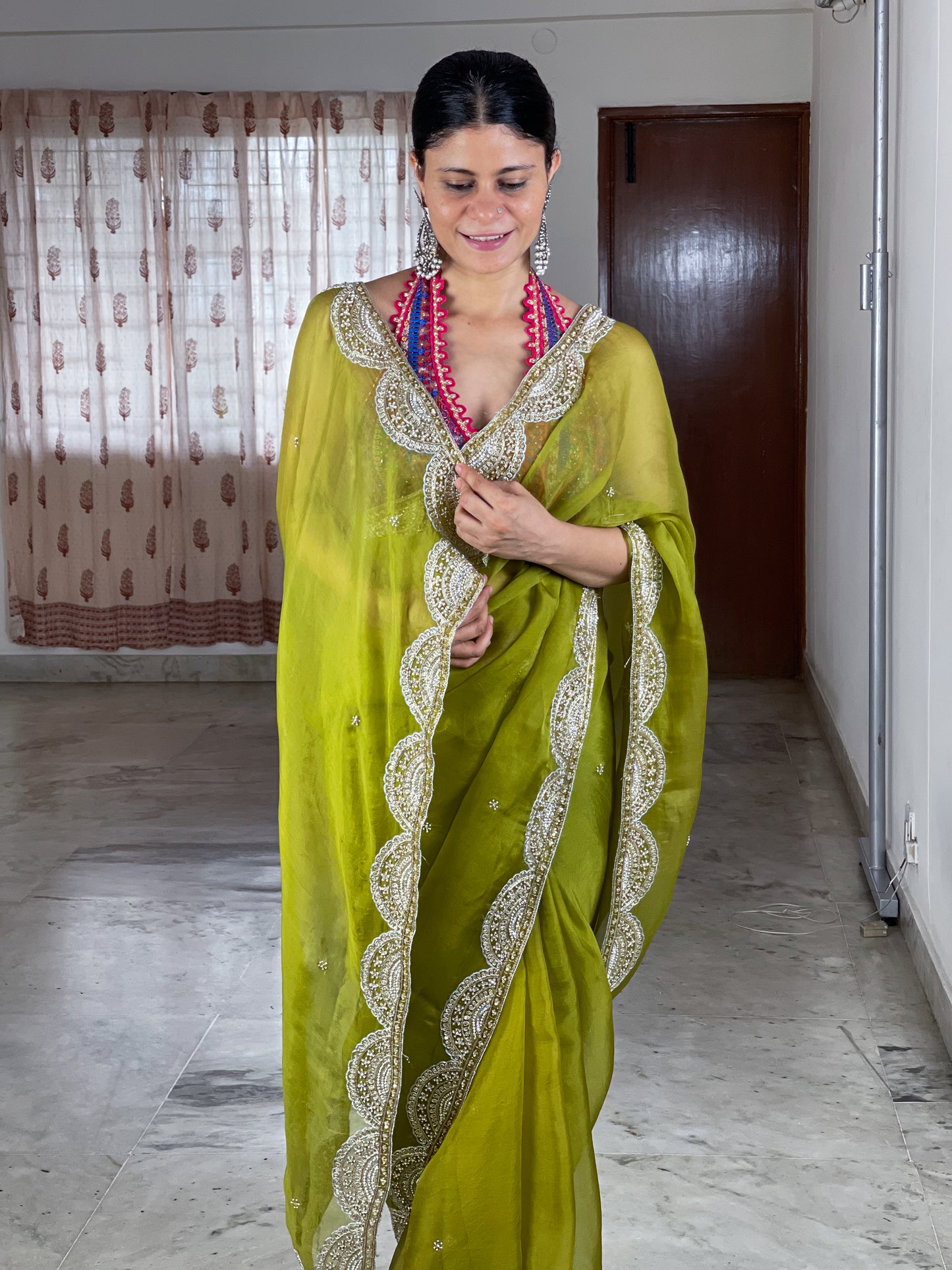 Zardosi and Sequence and Beads Hand Embroidered Handloom Organza Silk Saree
