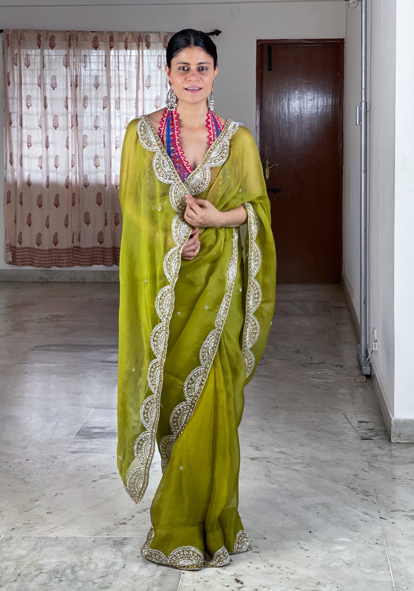 Zardosi and Sequence and Beads Hand Embroidered Handloom Organza Silk Saree