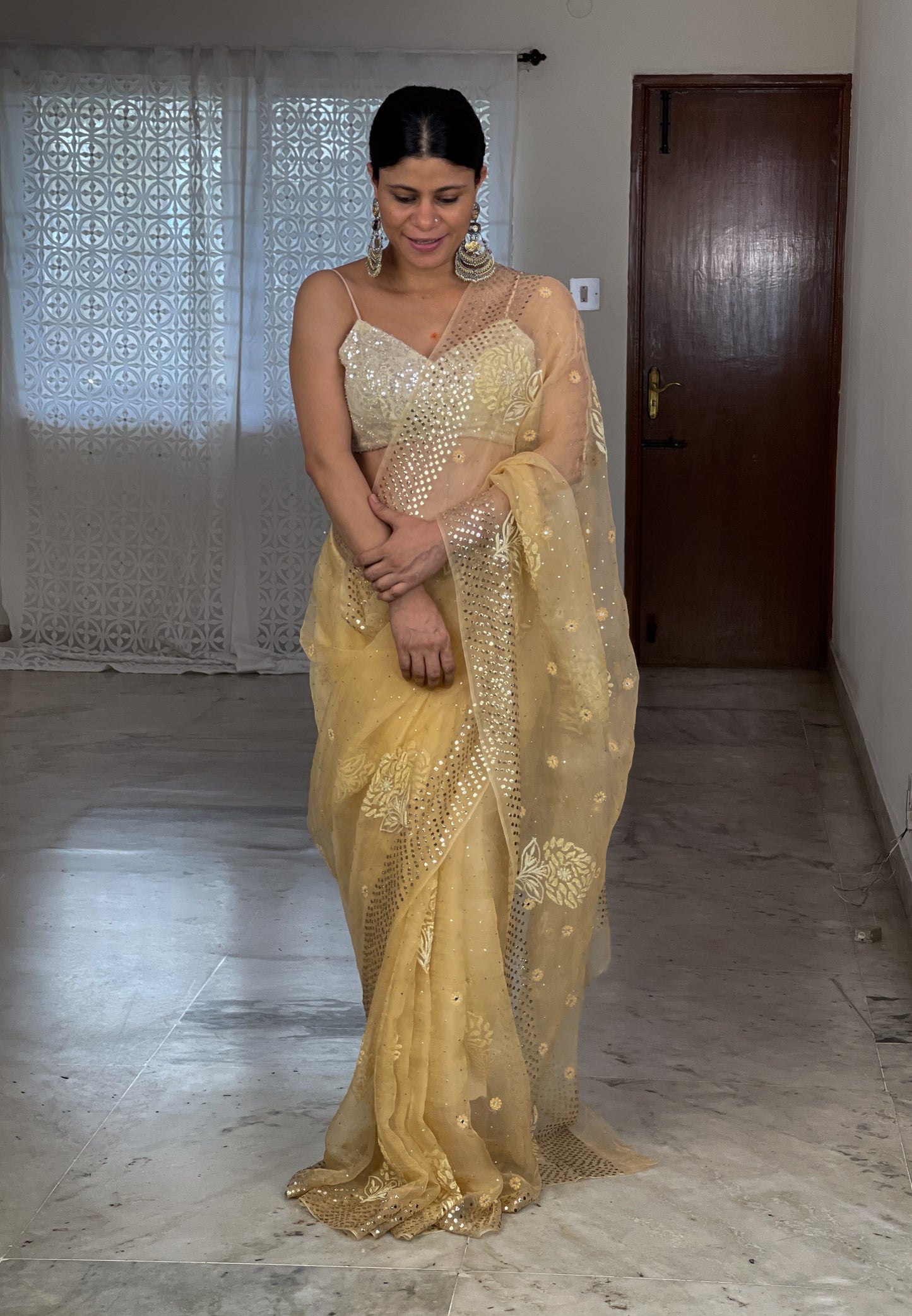 Handembroidered Chikanakri & Mukaish Organza Silk saree