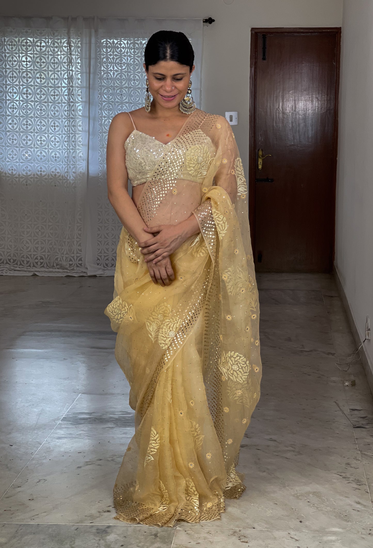 Handembroidered Chikanakri & Mukaish Organza Silk saree