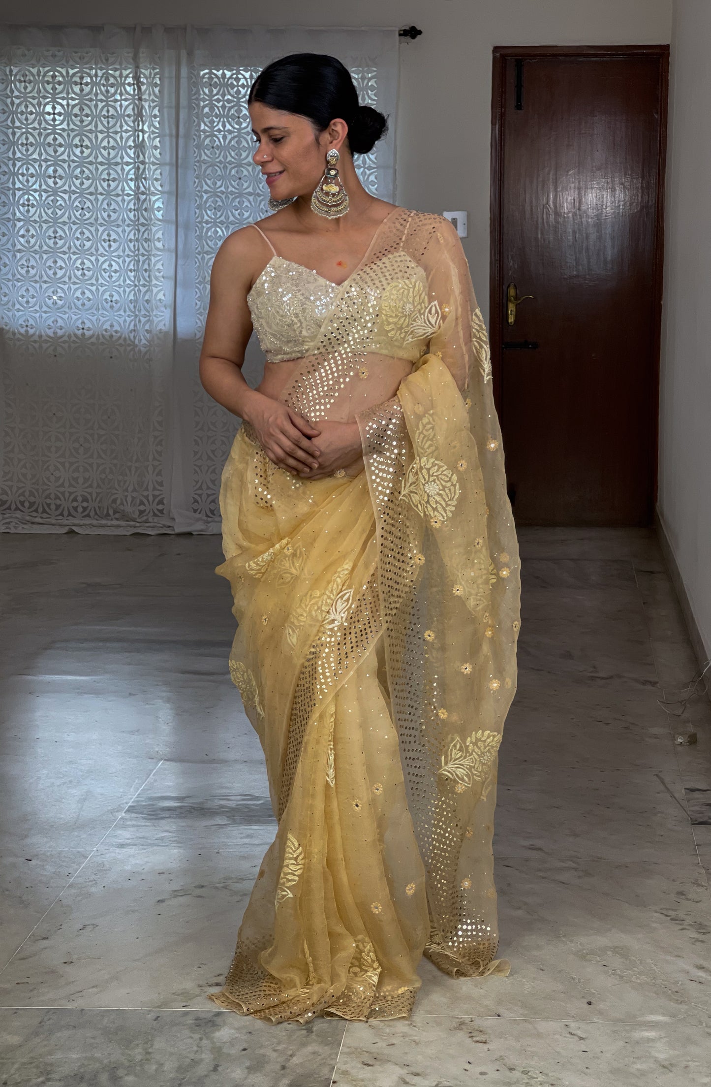 Handembroidered Chikanakri & Mukaish Organza Silk saree