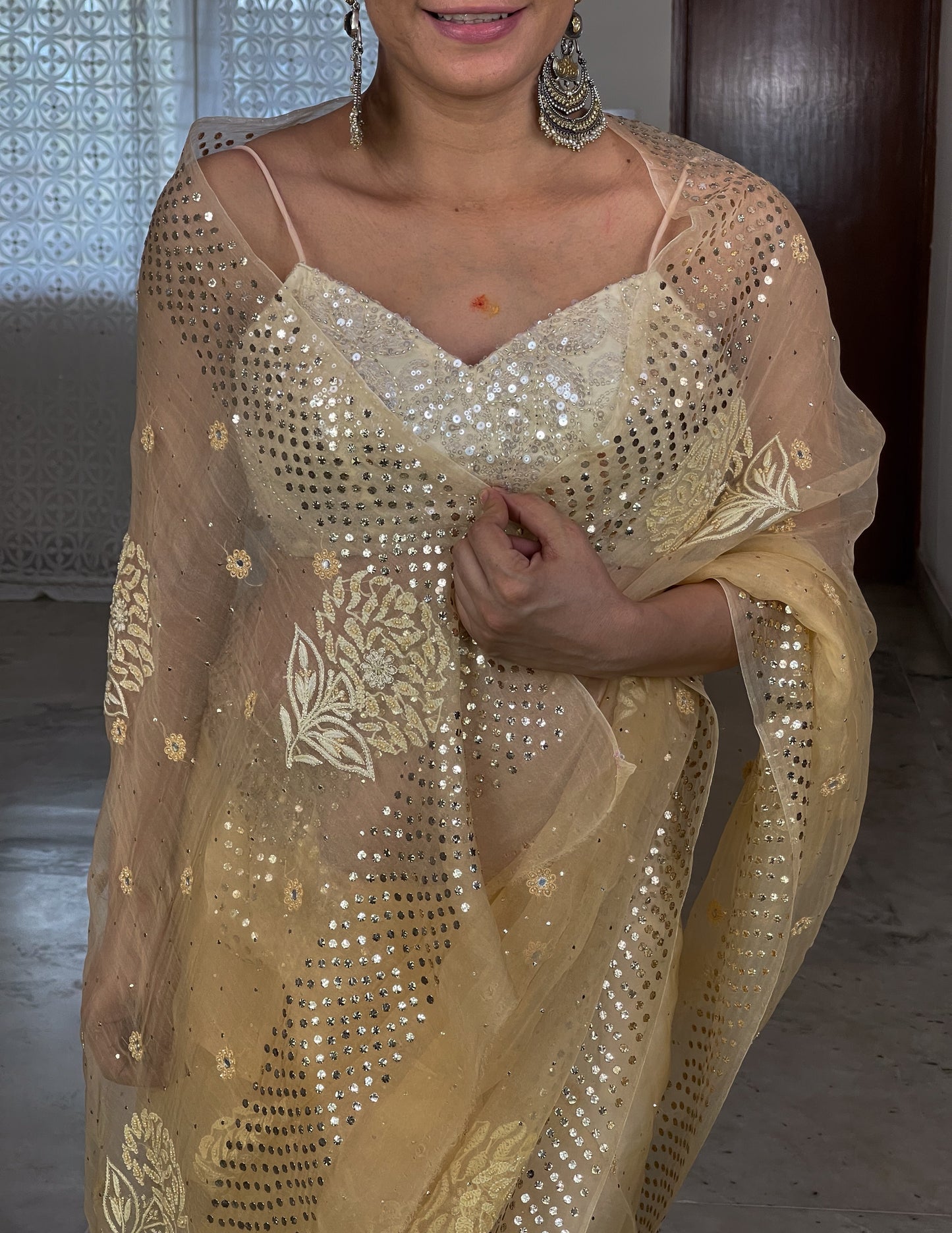 Handembroidered Chikanakri & Mukaish Organza Silk saree