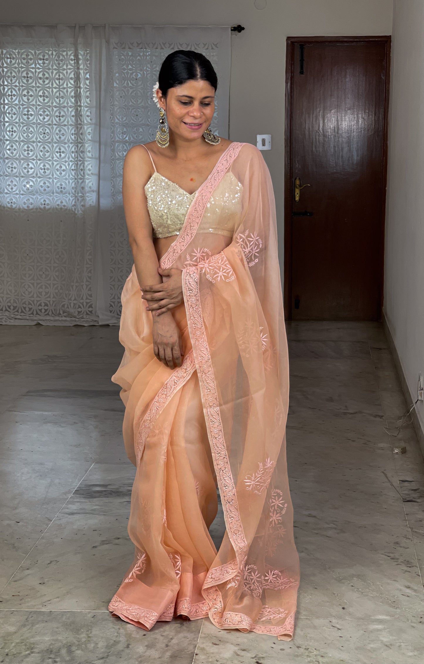 Handembroidered Chikanakri Organza Silk saree