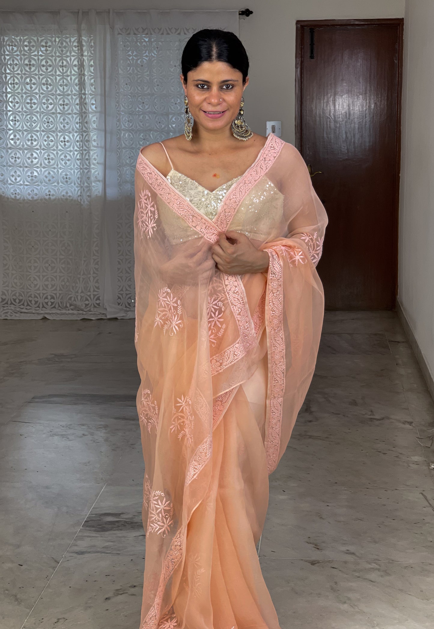 Handembroidered Chikanakri Organza Silk saree
