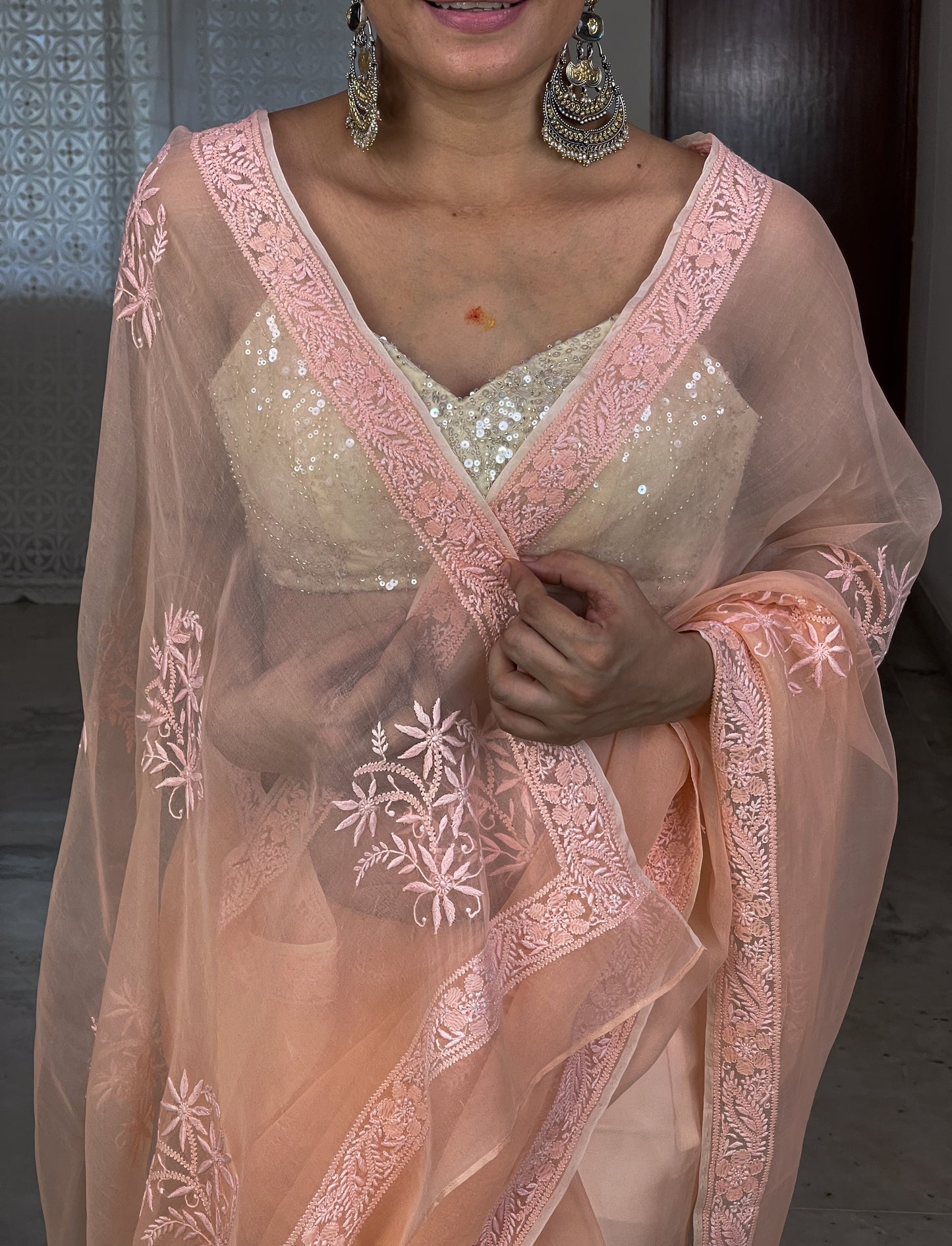 Handembroidered Chikanakri Organza Silk saree