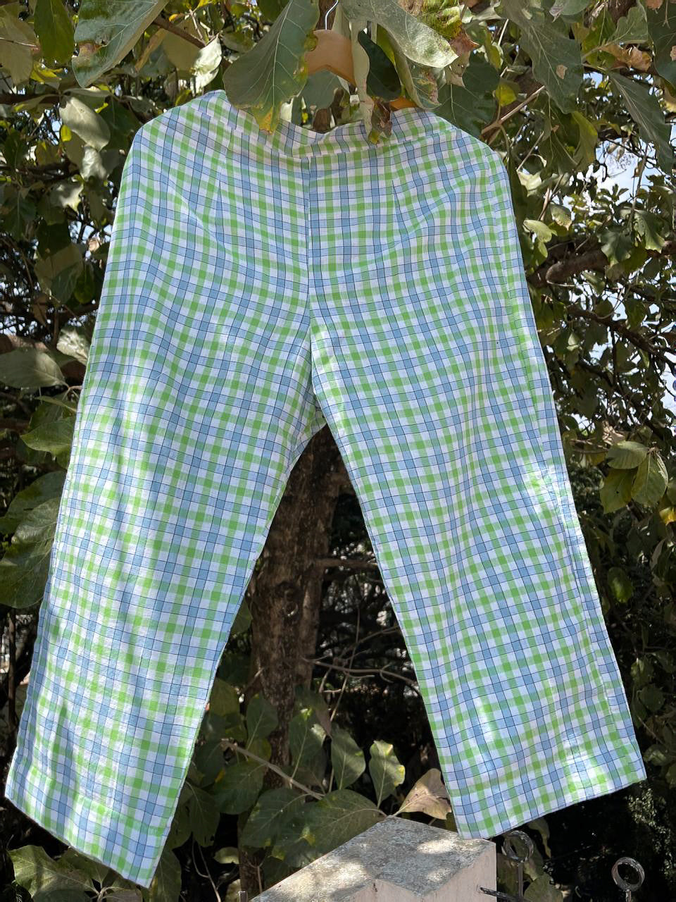 Handloom Cotton  Check Pant