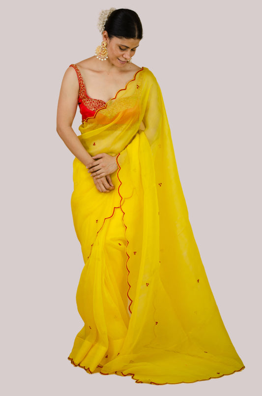 Beads Hand Embroidered Handloom Organza Silk Saree.