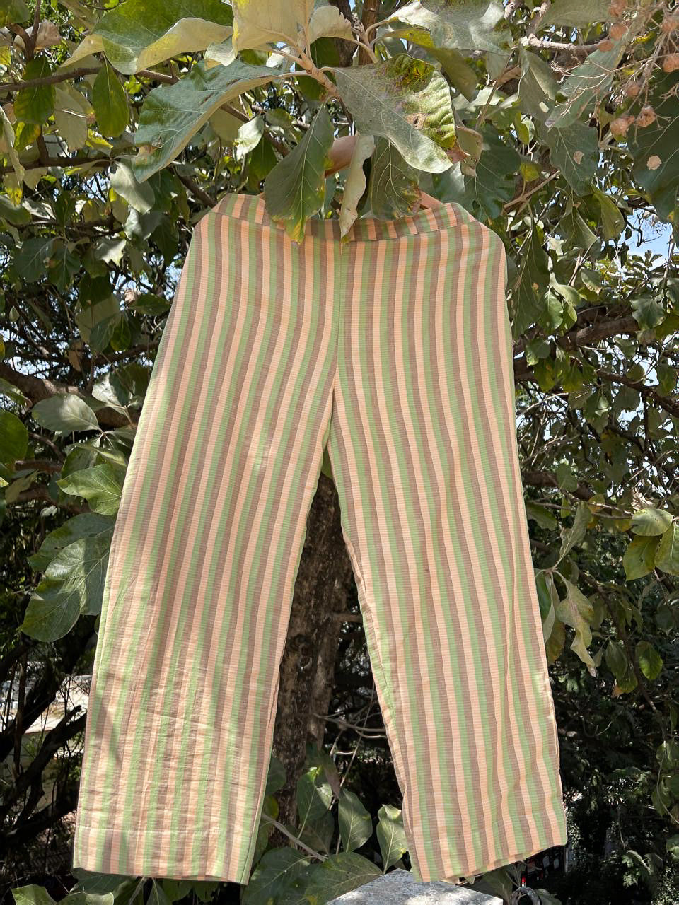 Handloom Cotton  Check Pant