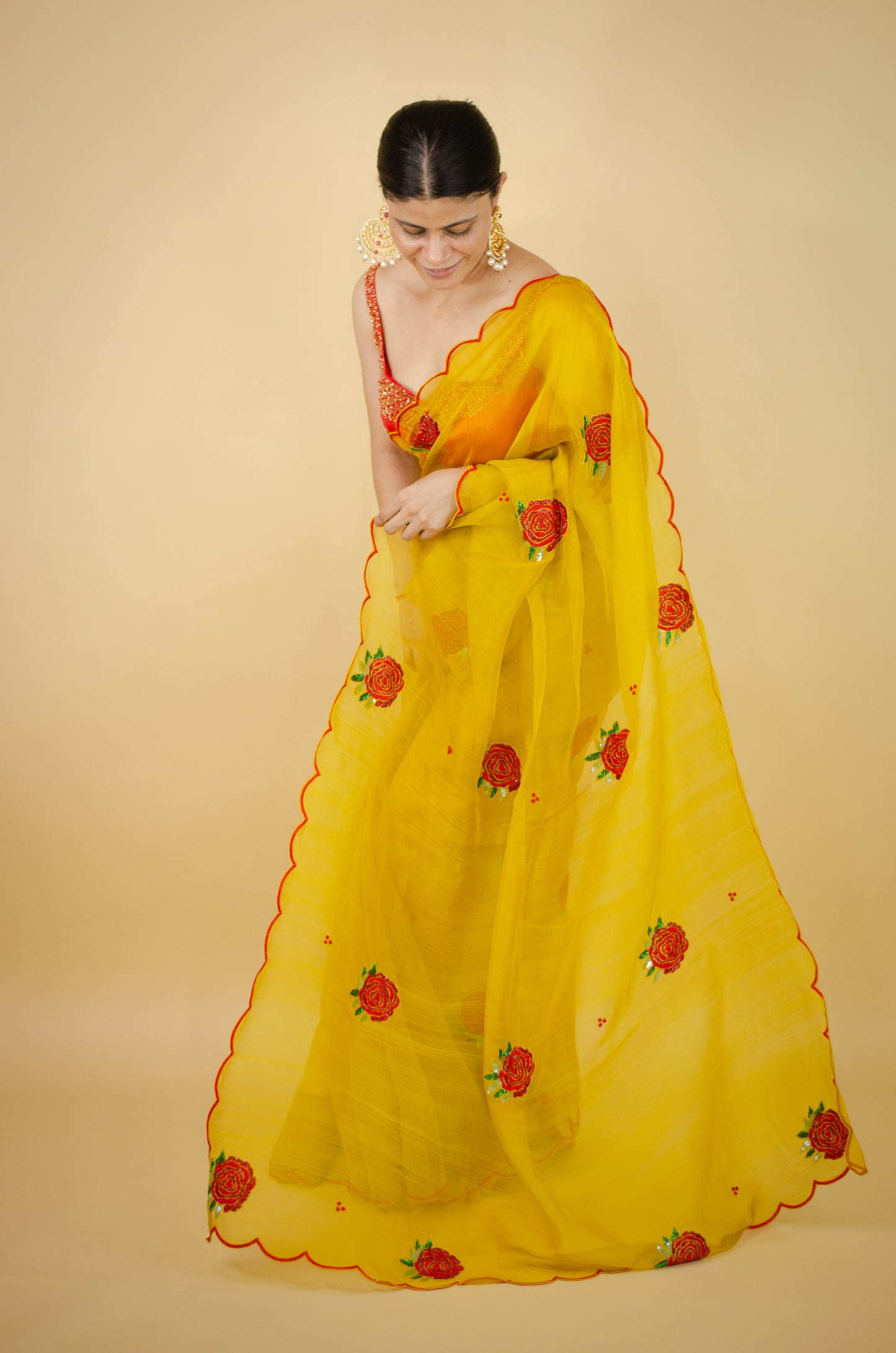 Zardosi and Sequence and Beads Hand Embroidered Handloom Organza Silk Saree
