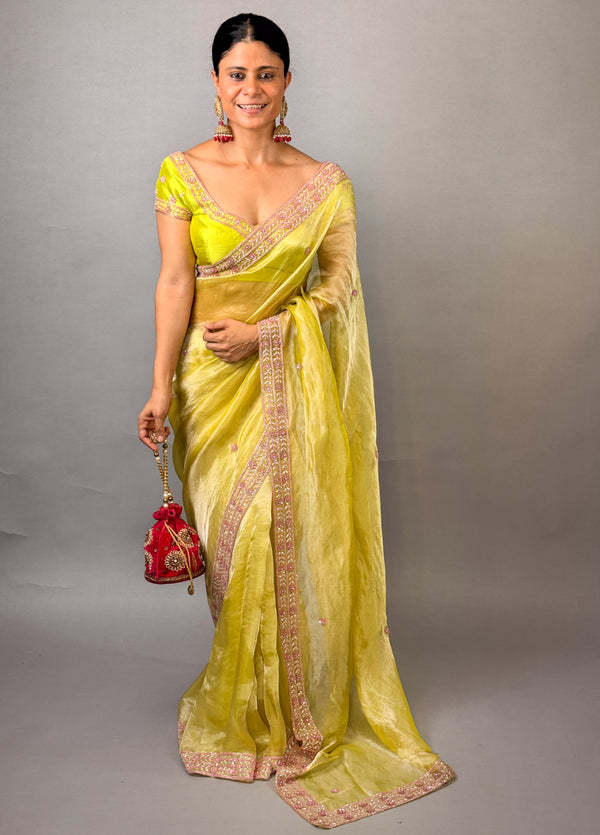 Handwoven Ektara Tissue Silk Saree with Intricate Hand Embroidery