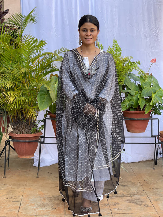 Handembroidered Kota Doria Dupatta