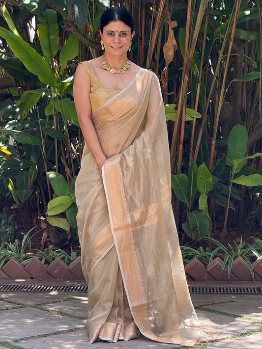 Handloom Tissue Silk Saree Adorned With Handmade Motifs