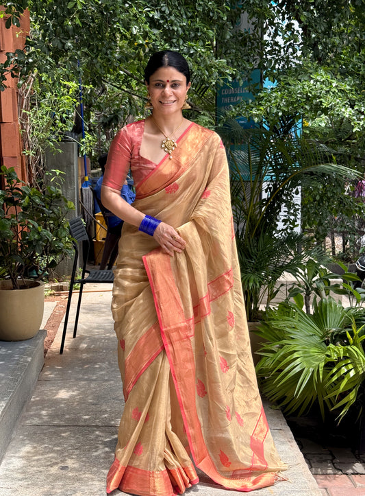 Handloom Tissue Silk Saree Adorned With Handmade Motifs
