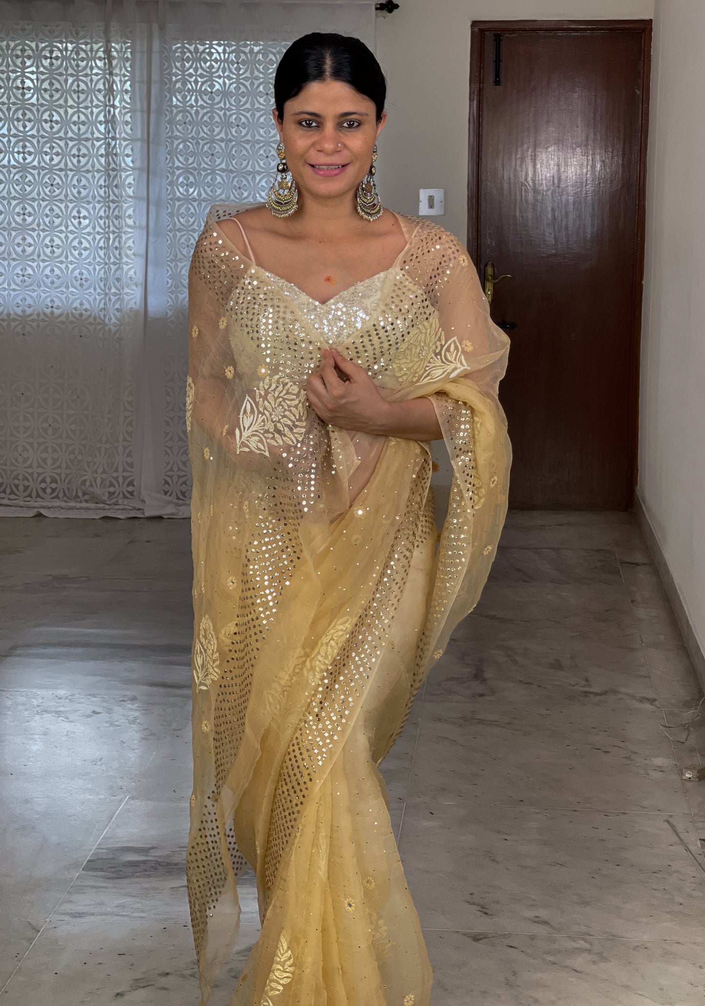 Handembroidered  Chikanakri  & Mukaish Organza Silk saree