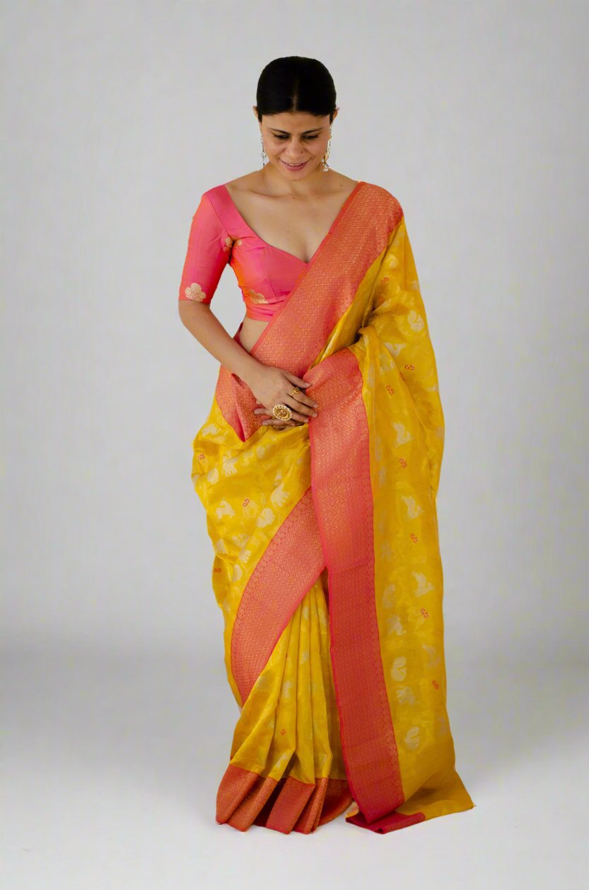 Yellow & Rani Border Colour Handloom Chanderi Pattu Silk Saree with Jaal motifs & mashru Border