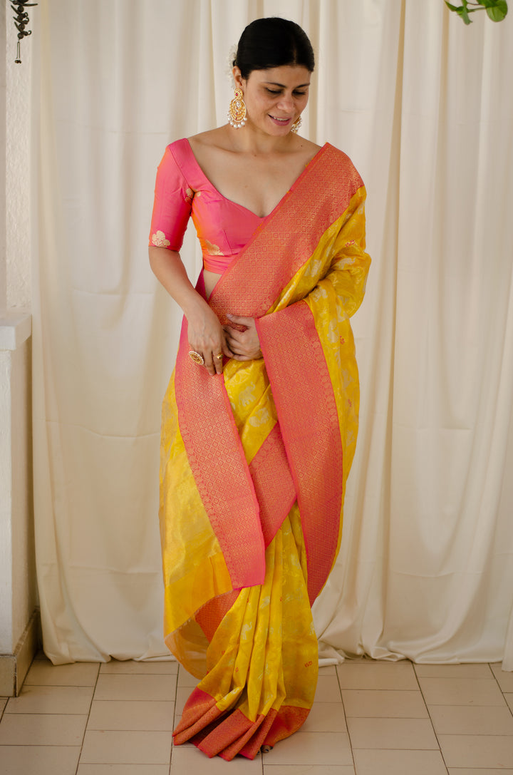 Yellow Chakli Border By ASHDEEN